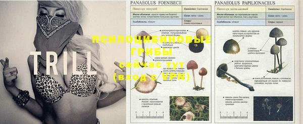 соль ск Зеленодольск