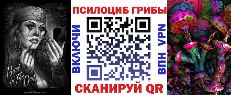 Псилоцибиновые грибы Psilocybe  Купить  Рыбинск 